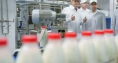 Восстановленный ивановский молокозавод выпустил тестовые партии молока и кефира