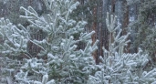 В Ивановской области 24 декабря будет тепло и снежно
