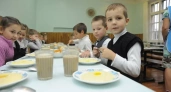 Дети из многодетных семей Ивановской области будут питаться в школе бесплатно