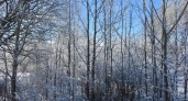 В четверг, 27 февраля, синоптики обещают в Ивановской области плюсовую температуру