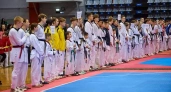 Шесть медалей завоевали ивановские спортсмены на первенстве ЦФО по тхэквондо