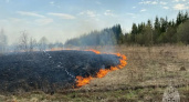 МЧС борется с палами травы в Ивановской области: сгорели дома и хозпостройки
