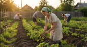 6 июня - день, когда ваш огород может измениться навсегда! Не пропустите эти работы