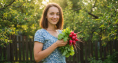 Редис по-корейски на зиму: просто, быстро и вкусно