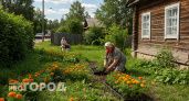 11 июня - день, когда сад и огород могут сыграть против вас! Не делайте этих ошибок, чтобы не остаться без урожая
