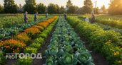 Не делайте этого 12 июня! Ошибки садоводов и огородников, которые могут стоить урожая