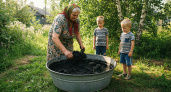 Удобрения из ила: как сделать своими руками и дать огороду новую жизнь