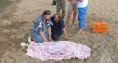 46-летний мужчина утонул в запрещенном для купания Хромцовском карьере