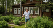 Опаснее борщевика: как агрессивное растение из Америки завоевывает Россию - защитите от него свой участок