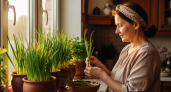 Никогда не замораживаю зеленый лук, а применяю этот способ: вкус и аромат остаются на всю зиму