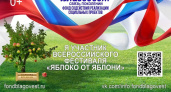 "Яблоко от яблони": Ивановские семьи приглашают на фестиваль в честь 80-летия Победы