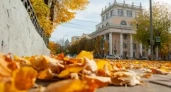 Бабье лето в Ивановской области: до +20°С без дождей, но с утренними туманами