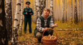 Рослесхоз начал охоту на грибников: новые штрафы до 5000 рублей и уголовные дела за один поход в лес