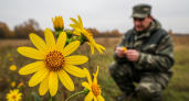 Зверобой убивает животных на солнце: древняя тайна названия растения и его кровавая легенда о любви