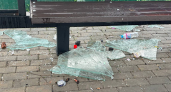 Стёкла вдребезги: новую остановку у Дворца водных видов спорта превратили в руины
