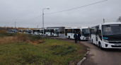 8 новых ПАЗиков за 8,7 млн: перевозчик получил 40% скидку, подав заявку «шутя»