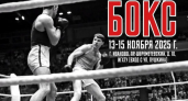 87 боксеров из 7 регионов сразятся в финале: 15 ноября определят победителей турнира памяти Кудрявцева