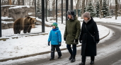 Ивановский зоопарк работает без выходных до 11 января: режим и цены
