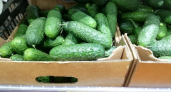 Шок для покупателей: цены на огурцы в Иванове взлетели на 6% за неделю