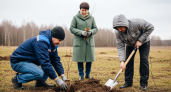 1,3 миллиона деревьев в память о погибших: Ивановская область присоединилась к «Саду Памяти»