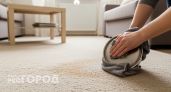 Старинный способ с копеечным средством из дома возвращает ковру заводскую чистоту за пару минут