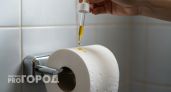 Втулка от туалетной бумаги превратит ваш санузел в оазис свежести дешевле любого спрея