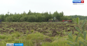 42 тысячи гектаров заброшенных земель вернули к жизни в Ивановской области