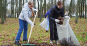 «Зелёная Весна» в 13-й раз: ивановцев зовут озеленять дворы и парки