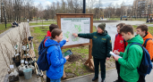 Свыше 100 000 ивановцев участвовали в экологических акциях в 2025 году