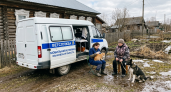 В сёлах Ивановской области начали бесплатно прививать кошек и собак от бешенства