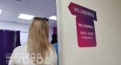 Скоро все товары подорожают: продавец с Wildberries раскрыл свои доходы и объяснил причины роста цен