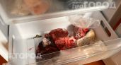 Вы рискуете здоровьем семьи: узнайте точные сроки хранения разного мяса в морозилке без риска для жизни
