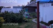 Забудьте про дорогую химию: достаточно одного простого средства для участка чтобы клещи исчезли навсегда