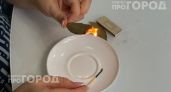 Перестаньте просто хранить лавровый лист на кухне: поджигаю пару штук в комнате и забываю о плохом самочувствии