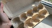 Перестала выбрасывать яичные лотки: теперь они заменяют мне дорогие товары для огорода и дома