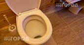 Перестаньте смывать воду с открытой крышкой: как уберечь свою ванную от невидимых бактерий и грязи