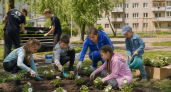 В 49 школах Иванова летом откроют лагеря для 6300 детей