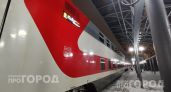 Больше никаких попутчиков: РЖД запустили одноместные купе с завтраком по цене доступнее привычного СВ