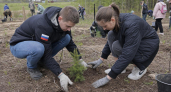 14 тысяч елей высадили в Родниковском районе в память о ветеранах