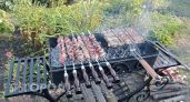 Хватит тратить деньги на свинину: врачи назвали бюджетное мясо для шашлыка, которое очищает ваши сосуды
