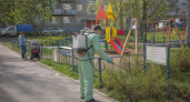 В Иванове обработают 96 тысяч квадратных метров детских площадок от клещей