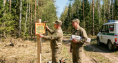 В Юрьевецком районе 24 мая — 4-й класс пожароопасности: спасатели дали рекомендации