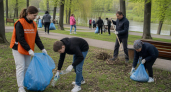 Свыше 42 тысяч жителей Ивановской области убрали регион на субботниках