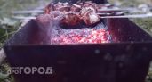 Вы больше не будете выбрасывать этот продукт: добавьте его в маринад и любое мясо станет нежнее масла
