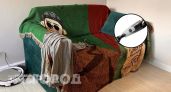 Забыла про громоздкий пылесос после похода в Чижик: ручной гаджет за 600 рублей убирает пыль за секунды
