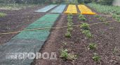 Забудьте про ловушки и яды: кроты навсегда покинут ваш огород после этого простого действия с землей