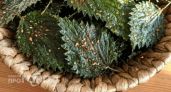 Выкидываю все покупные чипсы в мусор: теперь делаю полезный хрустящий снек из обычной огородной крапивы