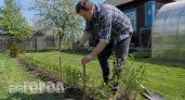 Хватит терпеть унылую сетку: 5 бюджетных приемов превратить дачный забор в стильный декор за выходные