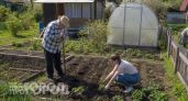 Жесткая правда о 6 сотках в СССР: почему советским гражданам запрещали иметь больше земли для огорода