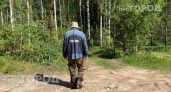Мошка прокусывает одежду и не дает покоя: смешайте эти два дешевых средства для защиты на весь день